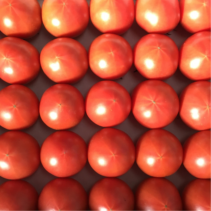 歩のトマトは高糖度・高品質